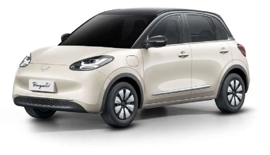 PPF Wuling Binguo EV