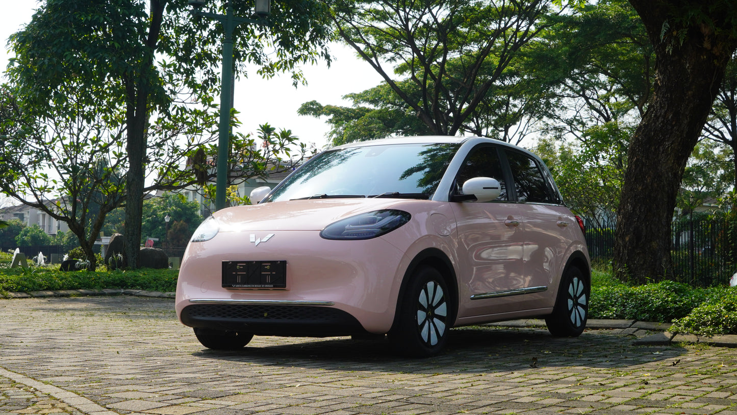 PPF Mobil Wuling Binguo Colour Seashel Pink Gloss