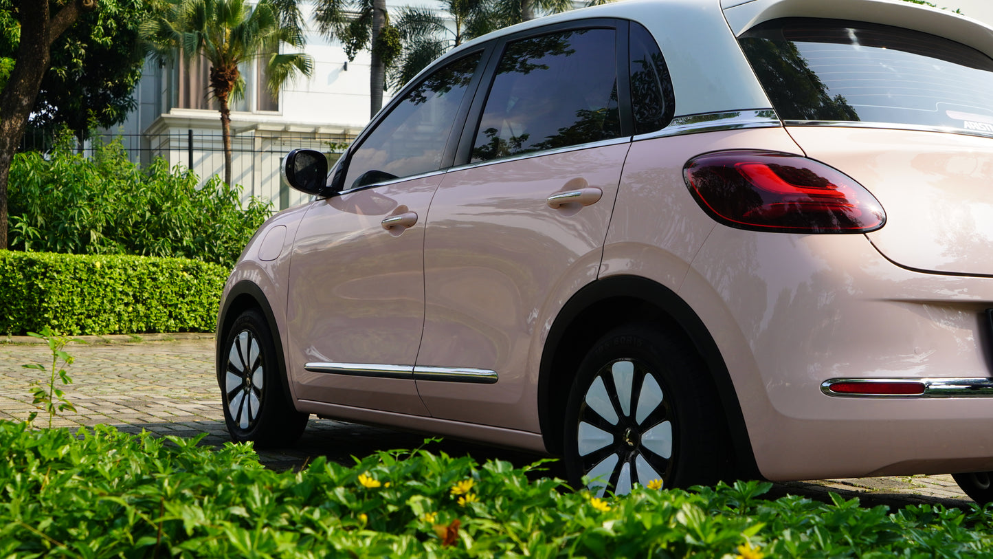 PPF Mobil Wuling Binguo Colour Seashel Pink Gloss