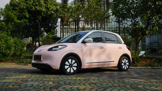 PPF Mobil Wuling Binguo Colour Seashel Pink Gloss