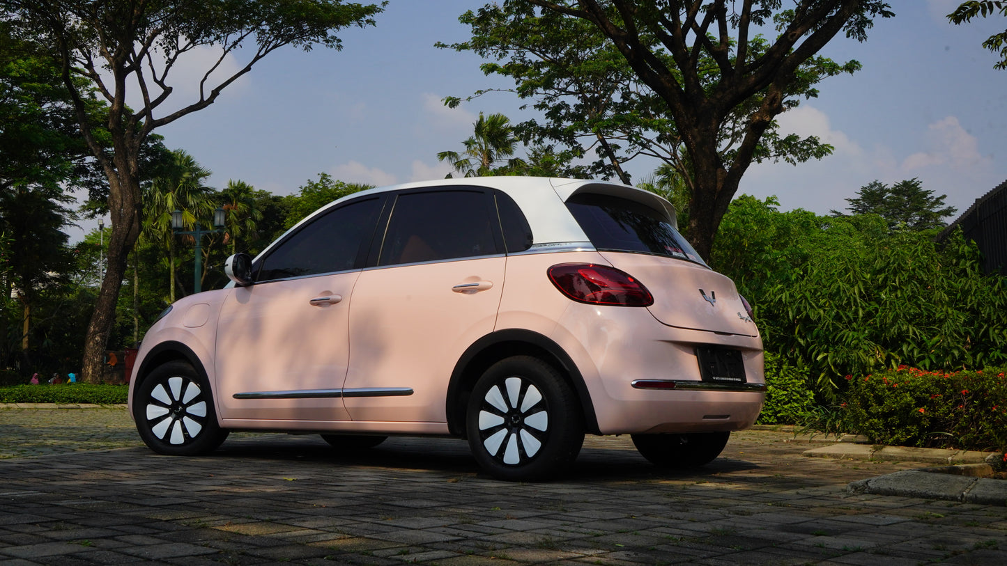 PPF Mobil Wuling Binguo Colour Seashel Pink Gloss