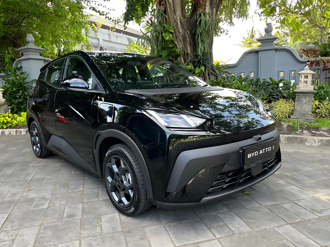 ppf mobil byd atto 1