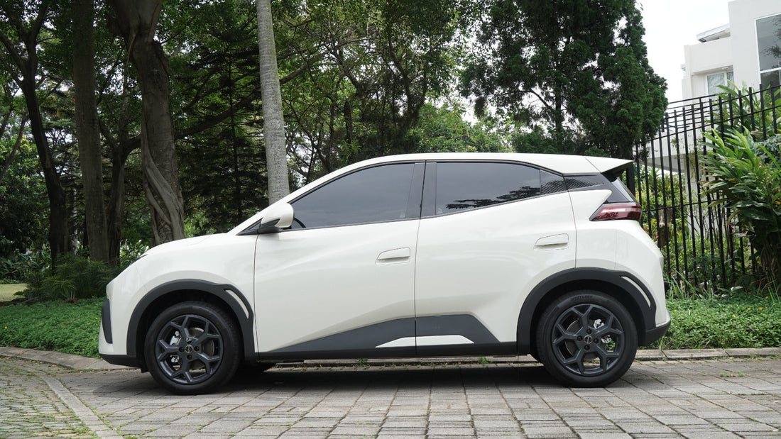 vpf byd atto 1