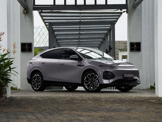 ppf xpeng g6