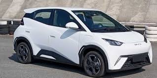 wrapping BYD Seagull