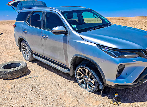 ppf fortuner